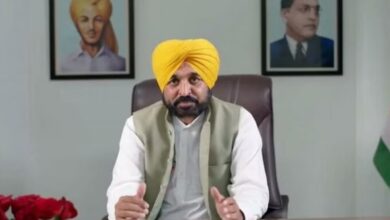 Punjab: एक अप्रैल से पुलिस पहरे में नहरों में छोड़ा जाएगा पानी, कपास के बीजों के लिए सब्सिडी देगी सरकार